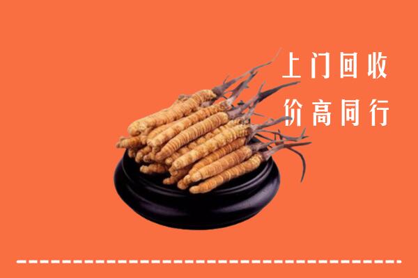 高价求购：广州市海珠回收散虫草