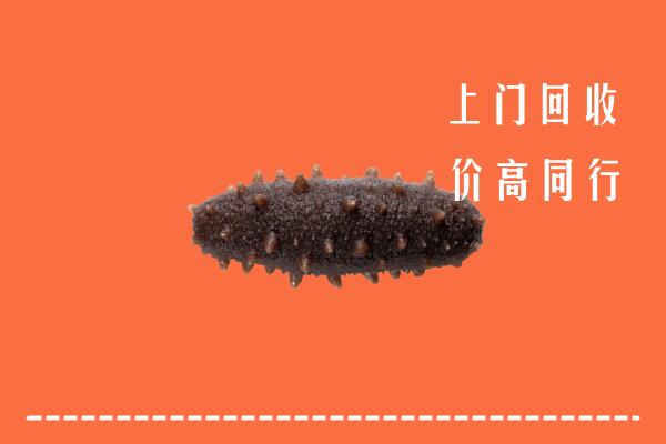 高价求购：广州市海珠回收海参
