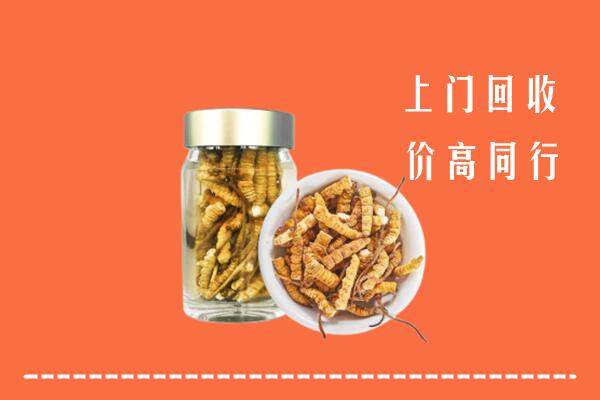 广州市海珠回收冬虫夏草