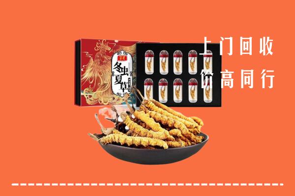 广州市海珠回收虫草